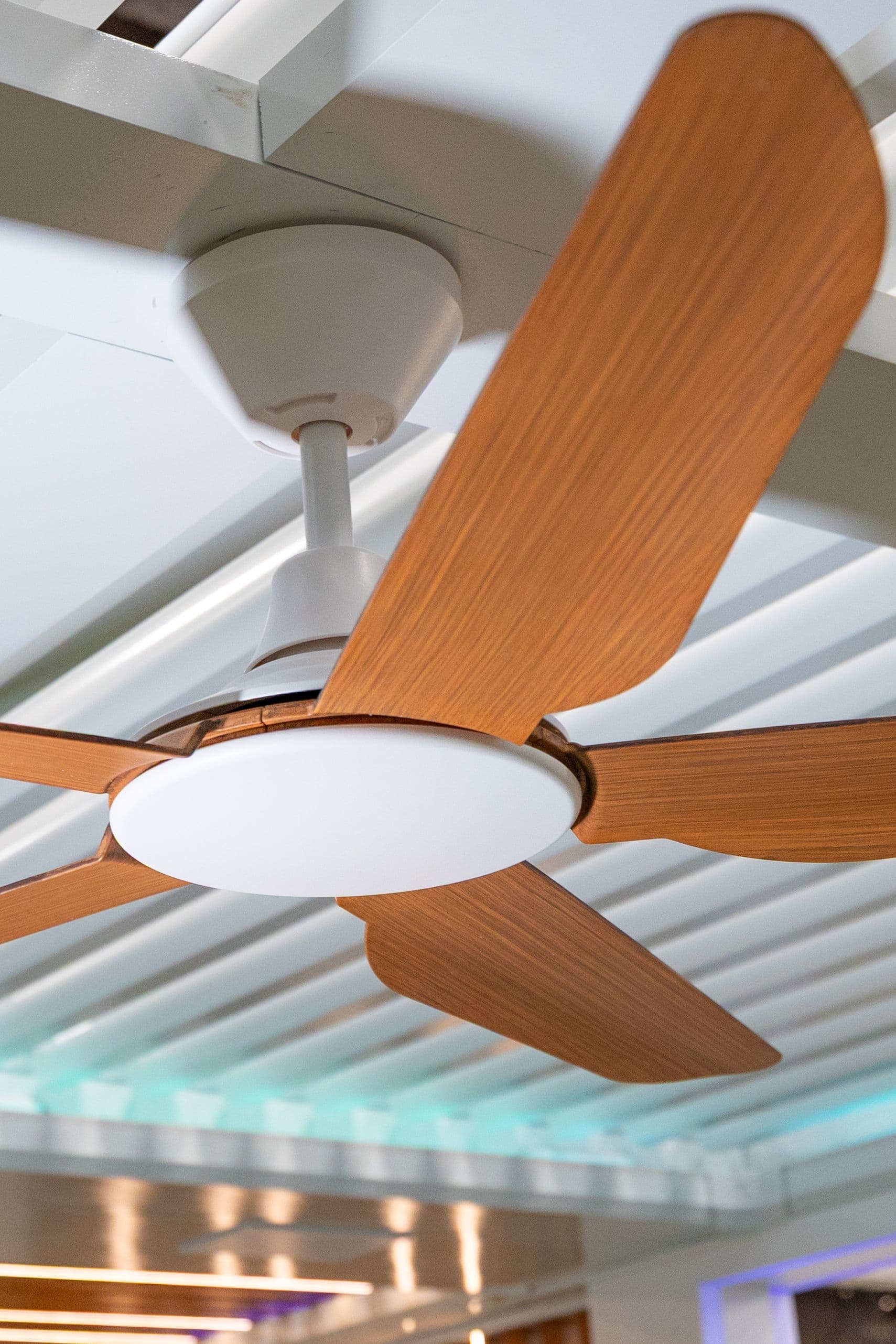 fans 2